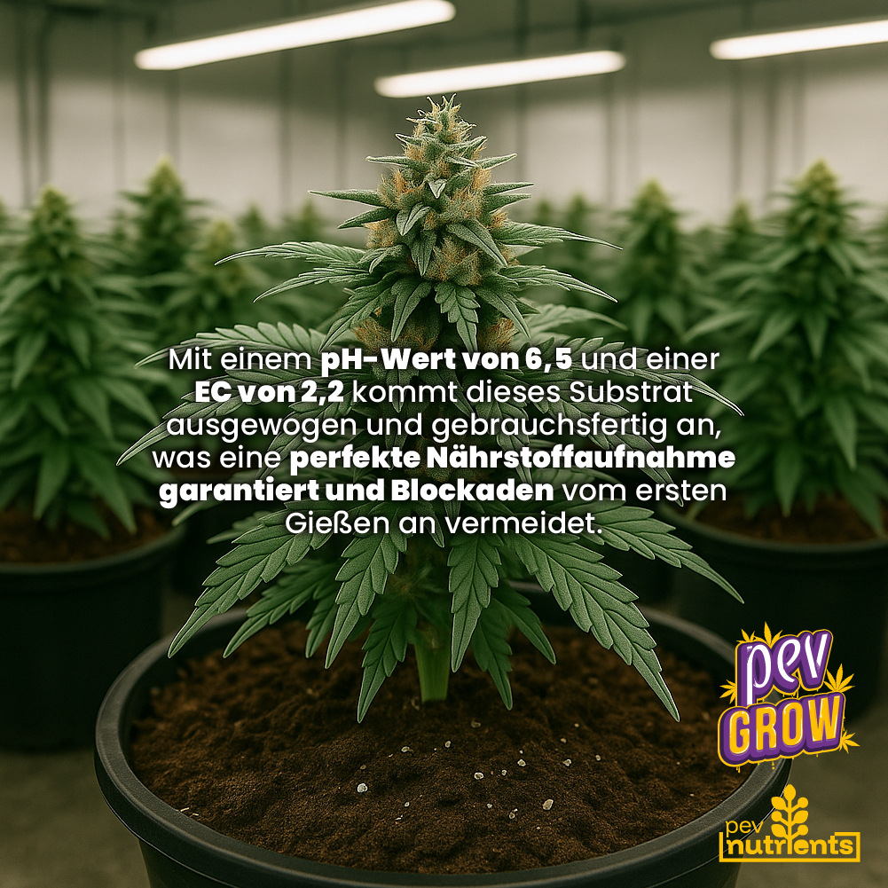 Terra Autoflower Pev Nutrients